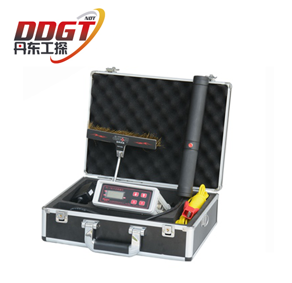 DGT D1-C Holiday Detector